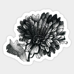 Daisy Chain Sticker